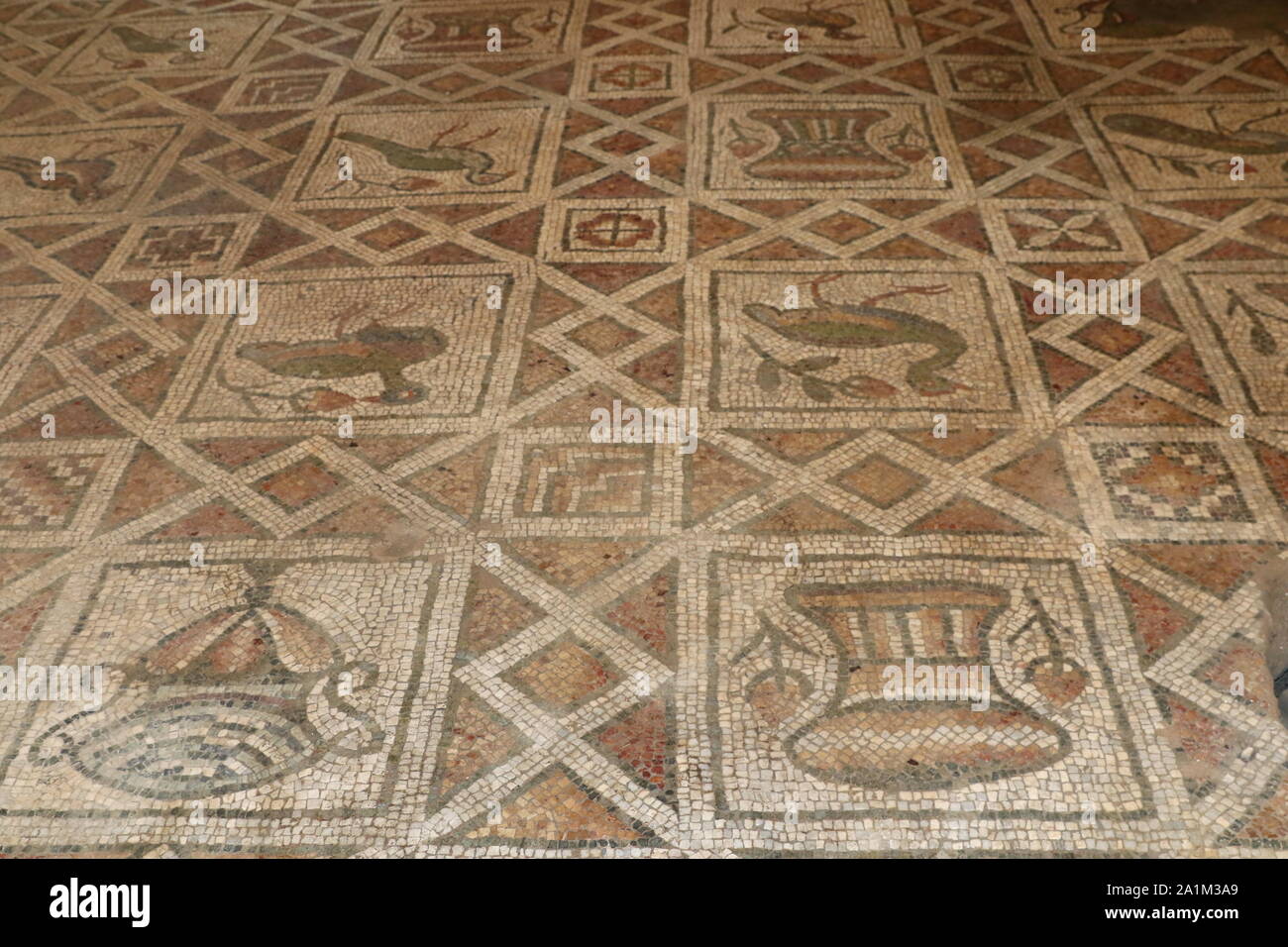 Roman mosaic floor located in archaeological site in The Bishop's Basilica of Philippopolis, the city of Plovdiv, Bulgaria. Mosaic floor. Roman mosaic Stock Photo