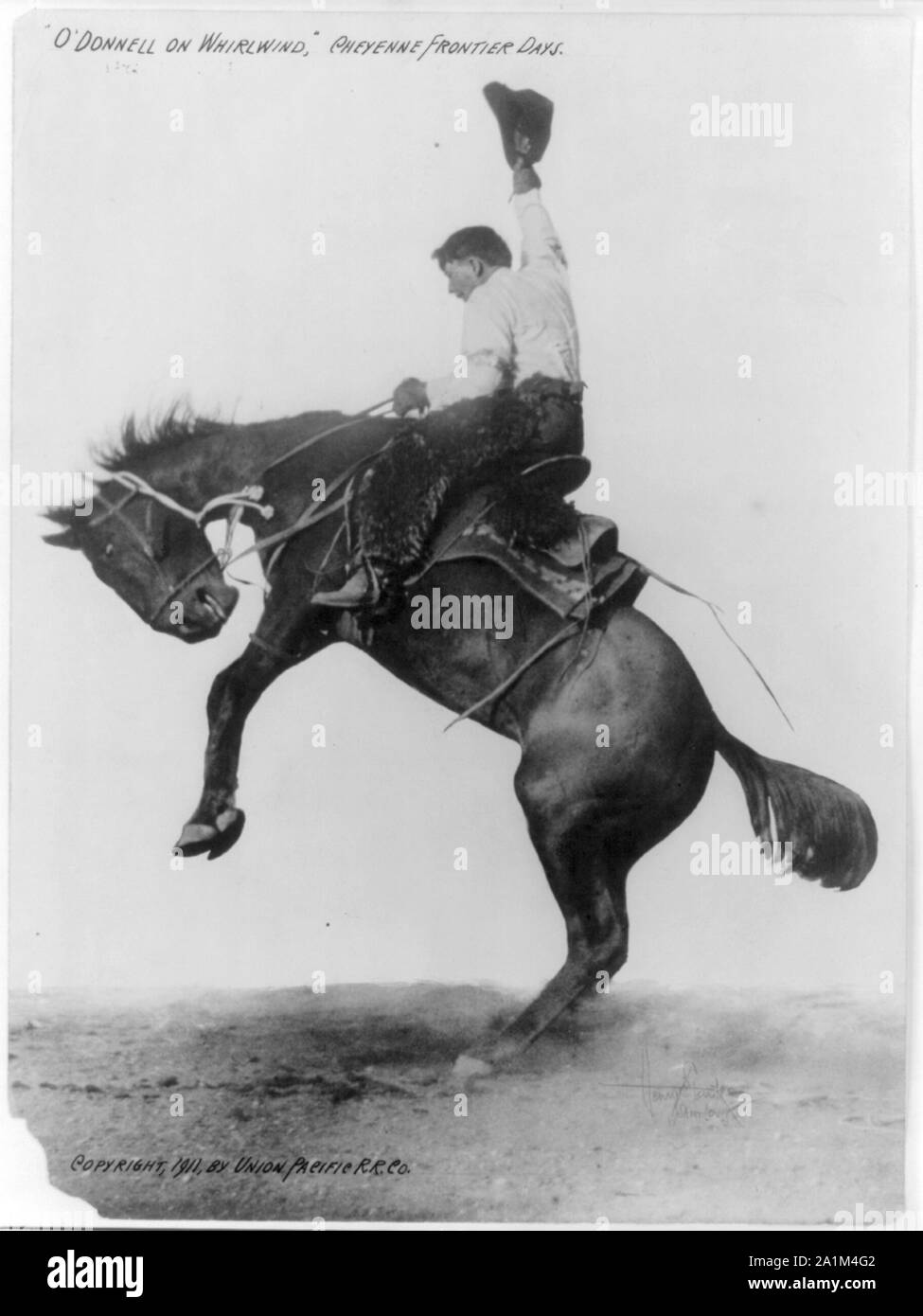 O'Donnell on Whirlwind [bucking bronco], Cheyenne Frontier Days Stock ...