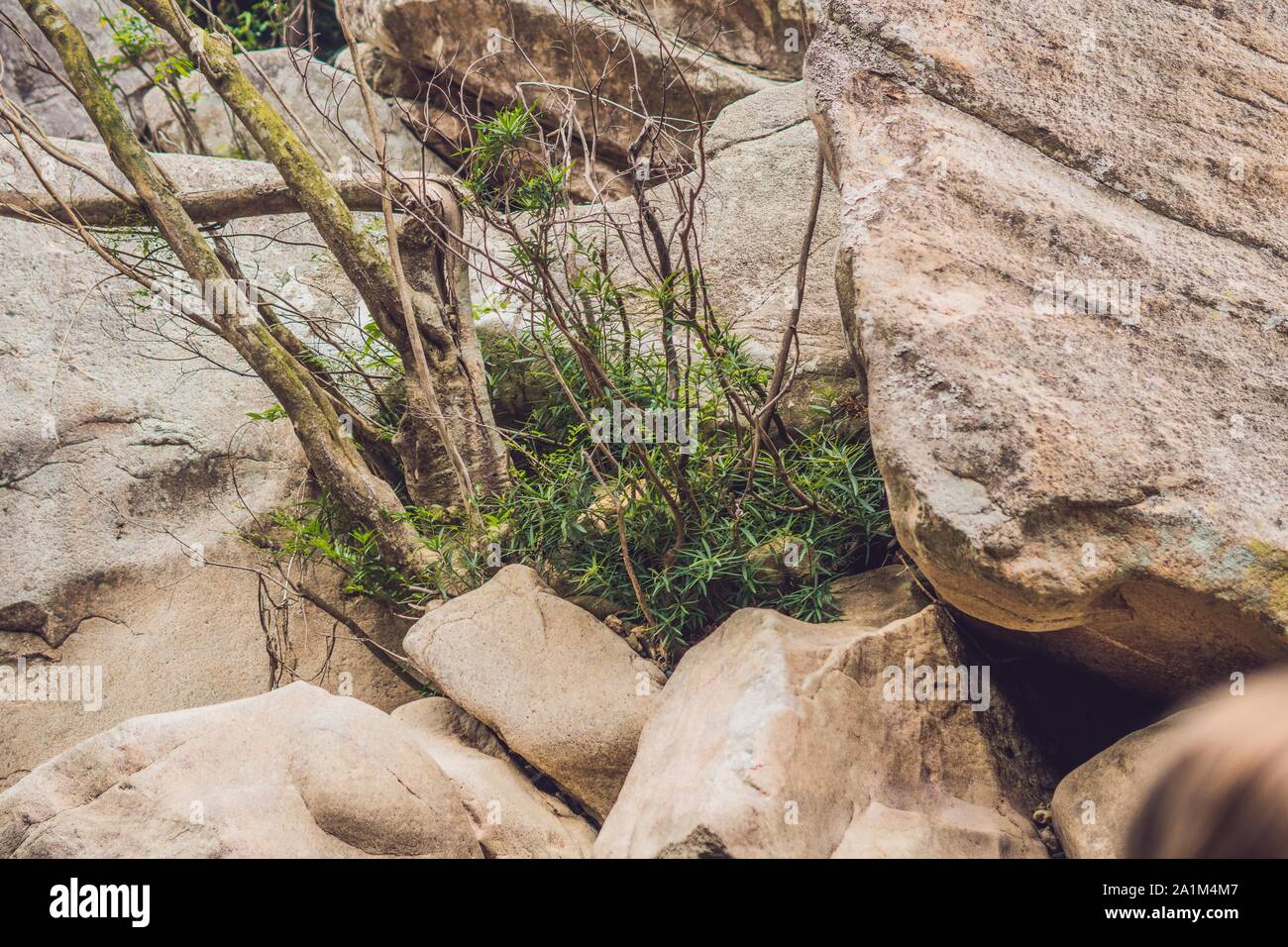 Even Strength Stock Photos Even Strength Stock Images Alamy Images, Photos, Reviews