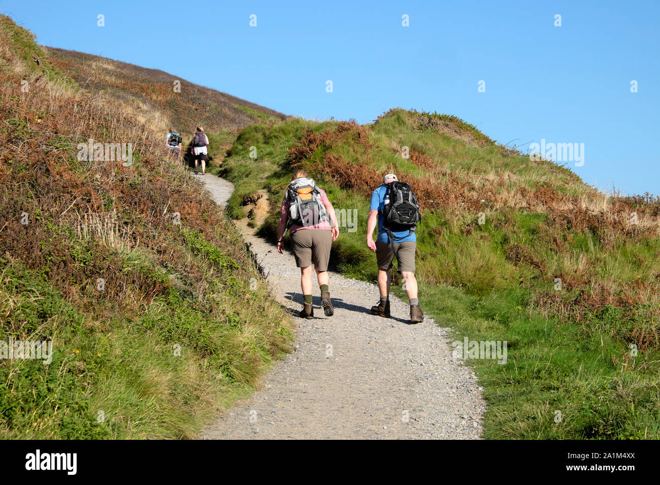 Couple with rucksacks backpacks hiking along the Wales Coast Path in September walk up a hill at Marloes Sands in Pembrokeshire Wales UK  KATHY DEWITT Stock Photo