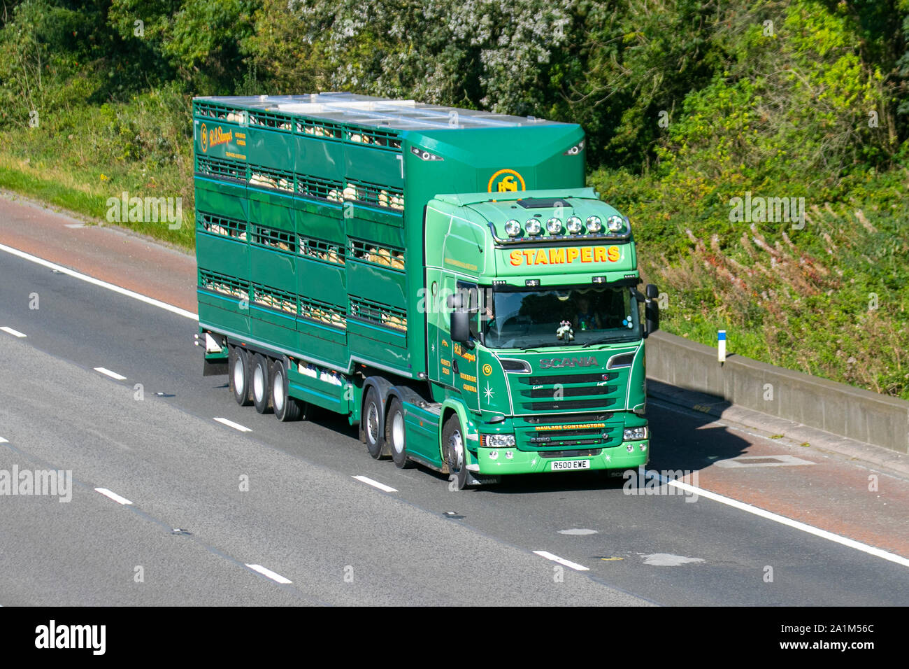 Livestock haulage hires stock photography and images Alamy