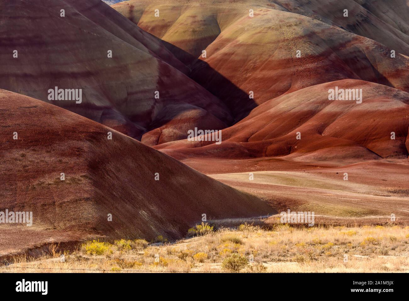 Eroded laterite and mudstone sediments in a sagebrush environment, John