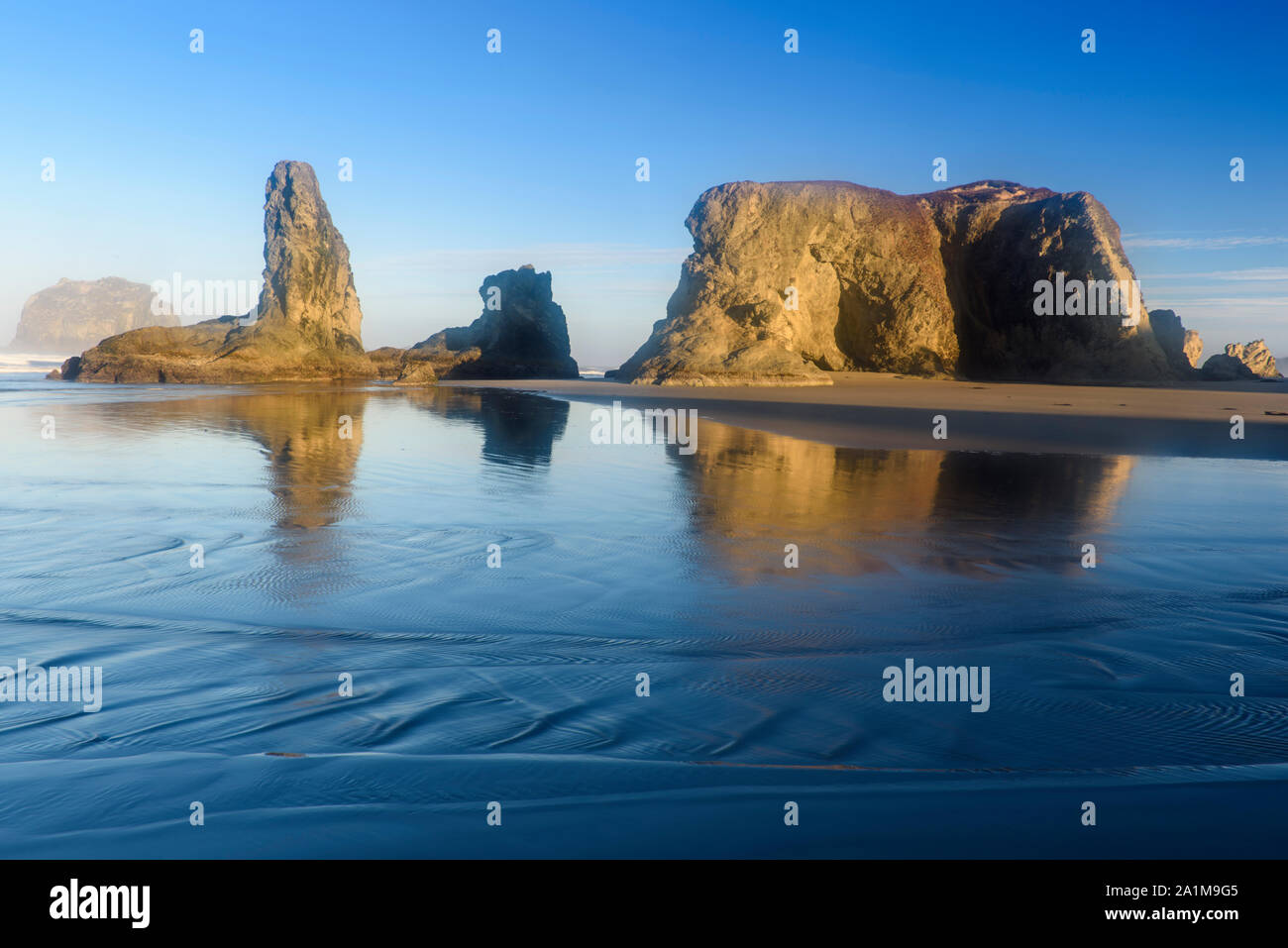 Sea stack rocks on Bandon Beach at low tide at dawn, Bandon, Oregon ...