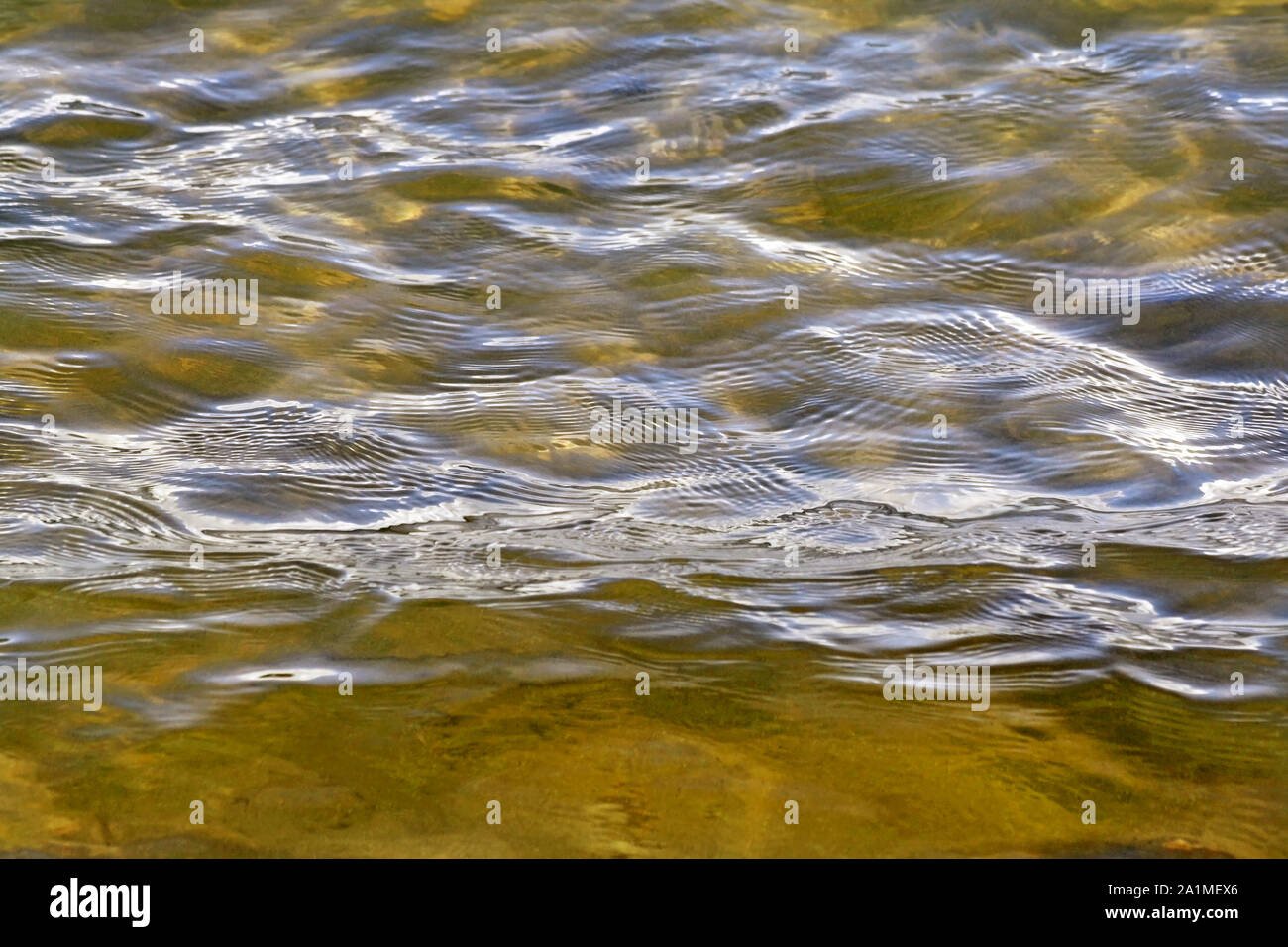 Beautiful lake waters with soft ripples on surface Stock Photo