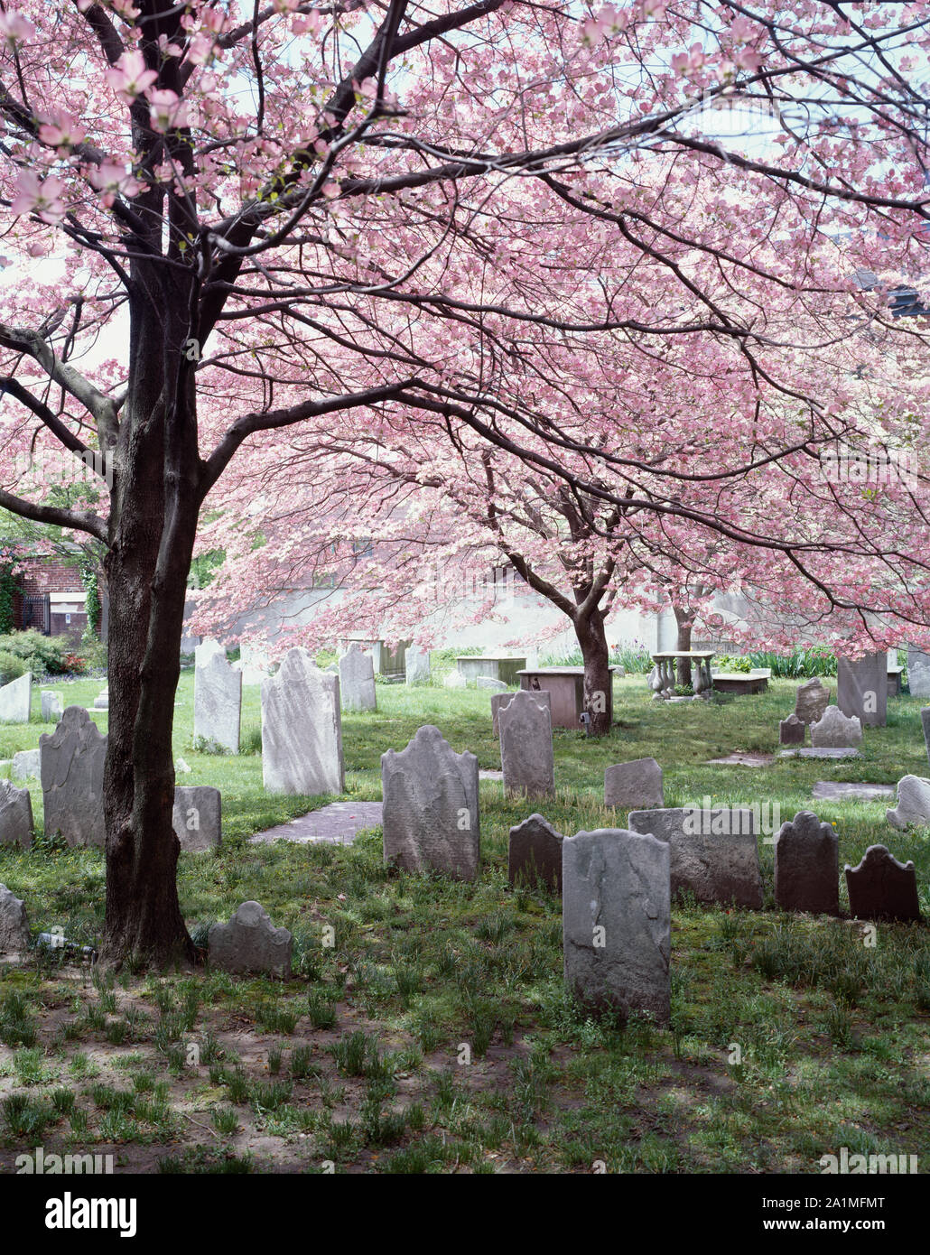 Street church philadelphia hires stock photography and images Alamy