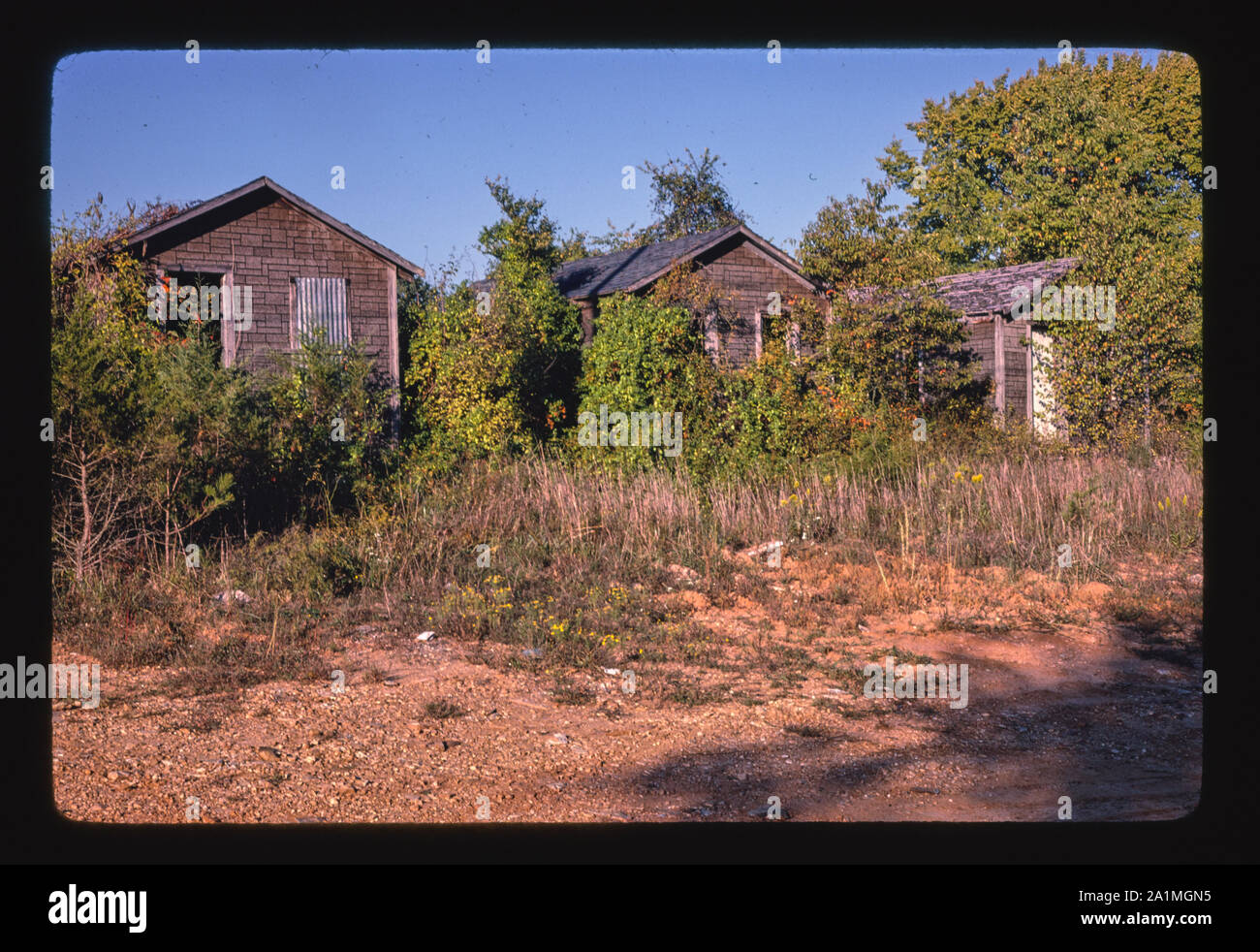 Old Cabins Pyatt Arkansas Stock Photo 328063825 Alamy