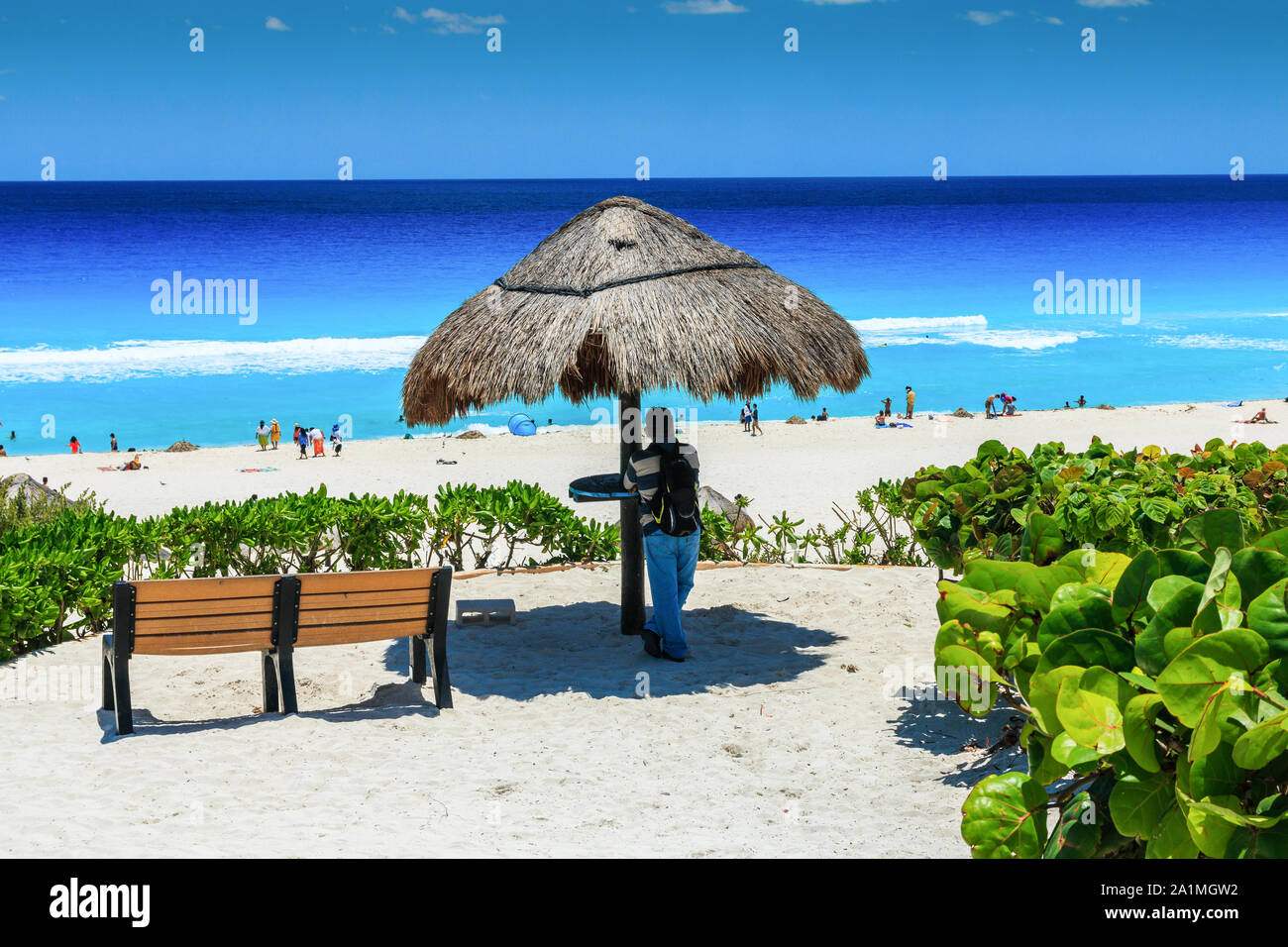 dolphin beach cancun mexico