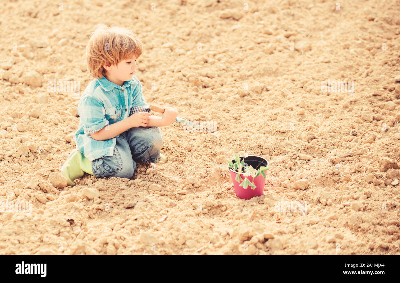 Child having fun with little shovel and plant in pot. Planting in field ...