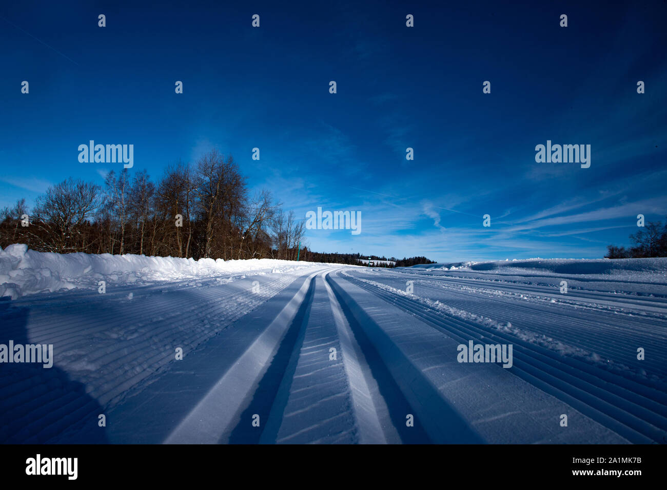 cross country skiing in Switzerland Swiss Alps Stock Photo Alamy