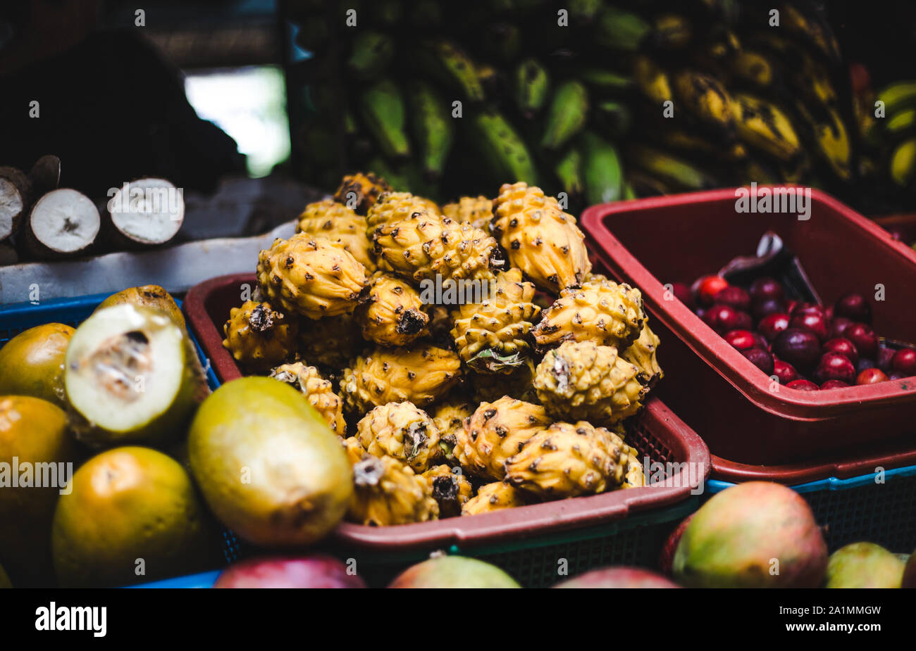 Baskets of exotic Colombian fruits on sale at a food market stall | Juicy box of pitaya dragon fruit surrounded by plantain, cherries, guanabana, lulo Stock Photo