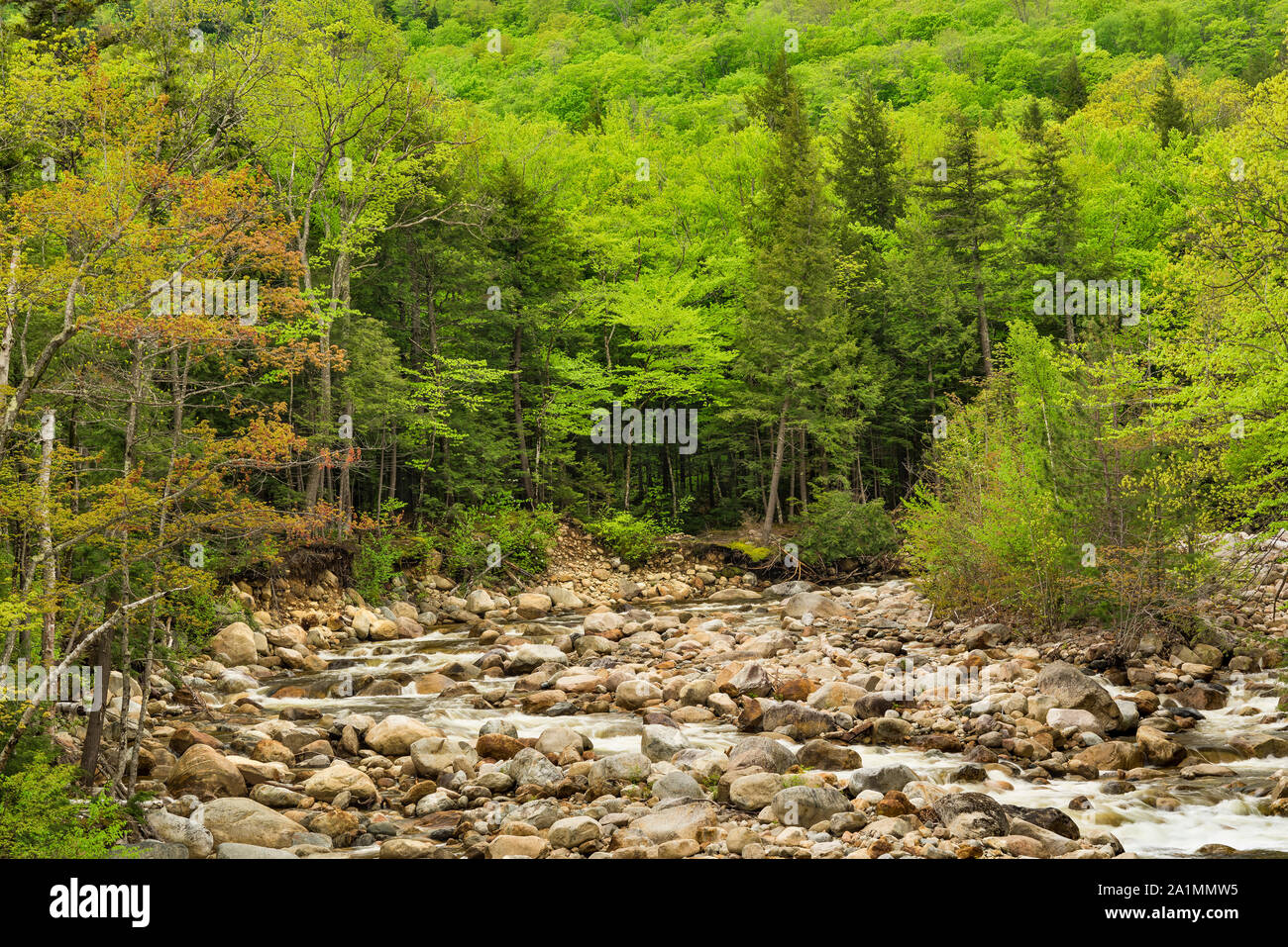 Sawyer River in spring, White Mountain National Forest, Carroll Co., NH