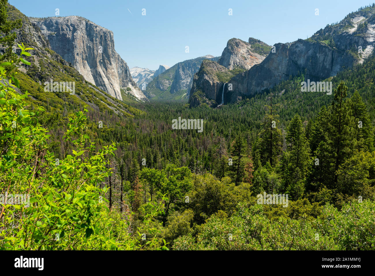 California National Park Landscapes Scenic Beauty Yosemite Stock Photo