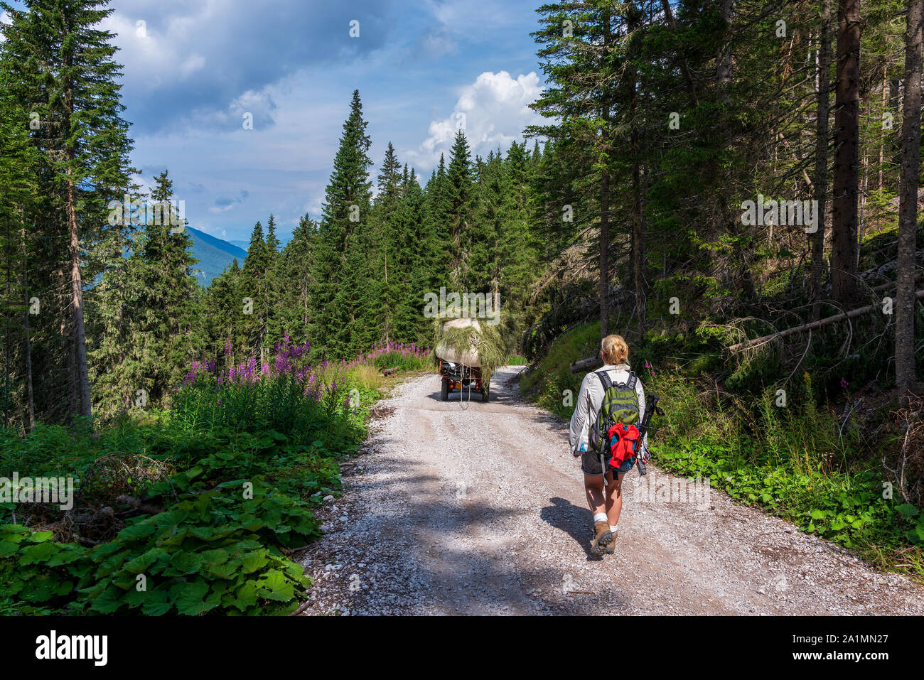 Mountain hiking in the Dolomites, Italy Stock Photo - Alamy