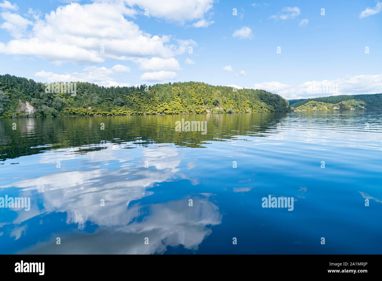 Reflected lake edge and white clouds on idyllic Lake Rotoiti near Rotorua New Zealand. Stock Photo