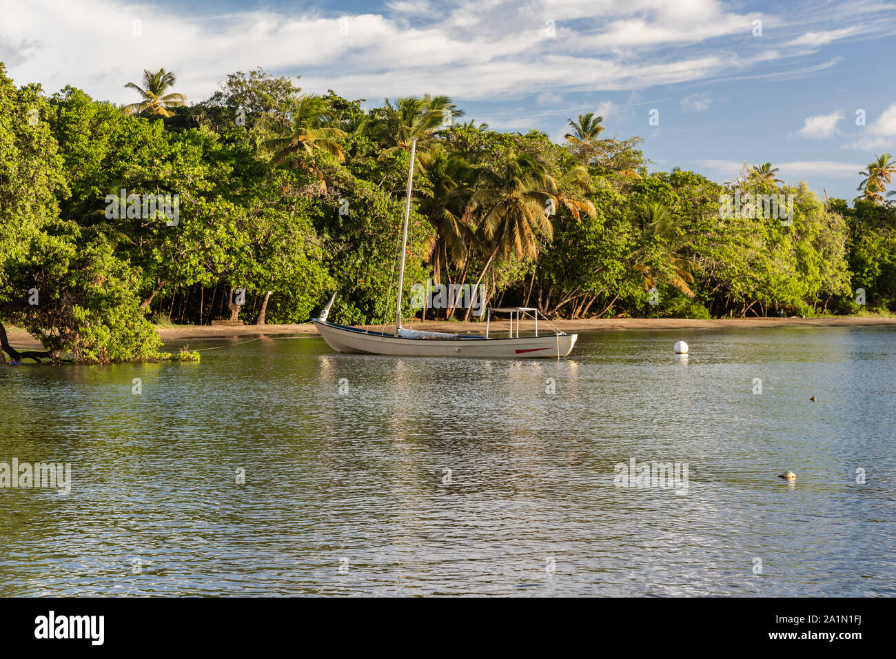 Sallow draft sailboat in Blue Lagoon, Saint Vincent and the Grenadines Stock Photo