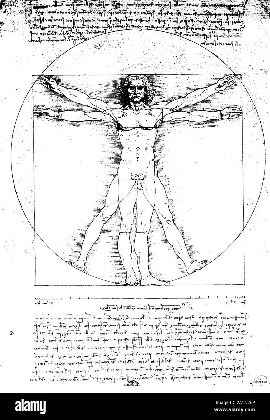 Anatomy art by Leonardo Da Vinci from 1492 Stock Photo Alamy
