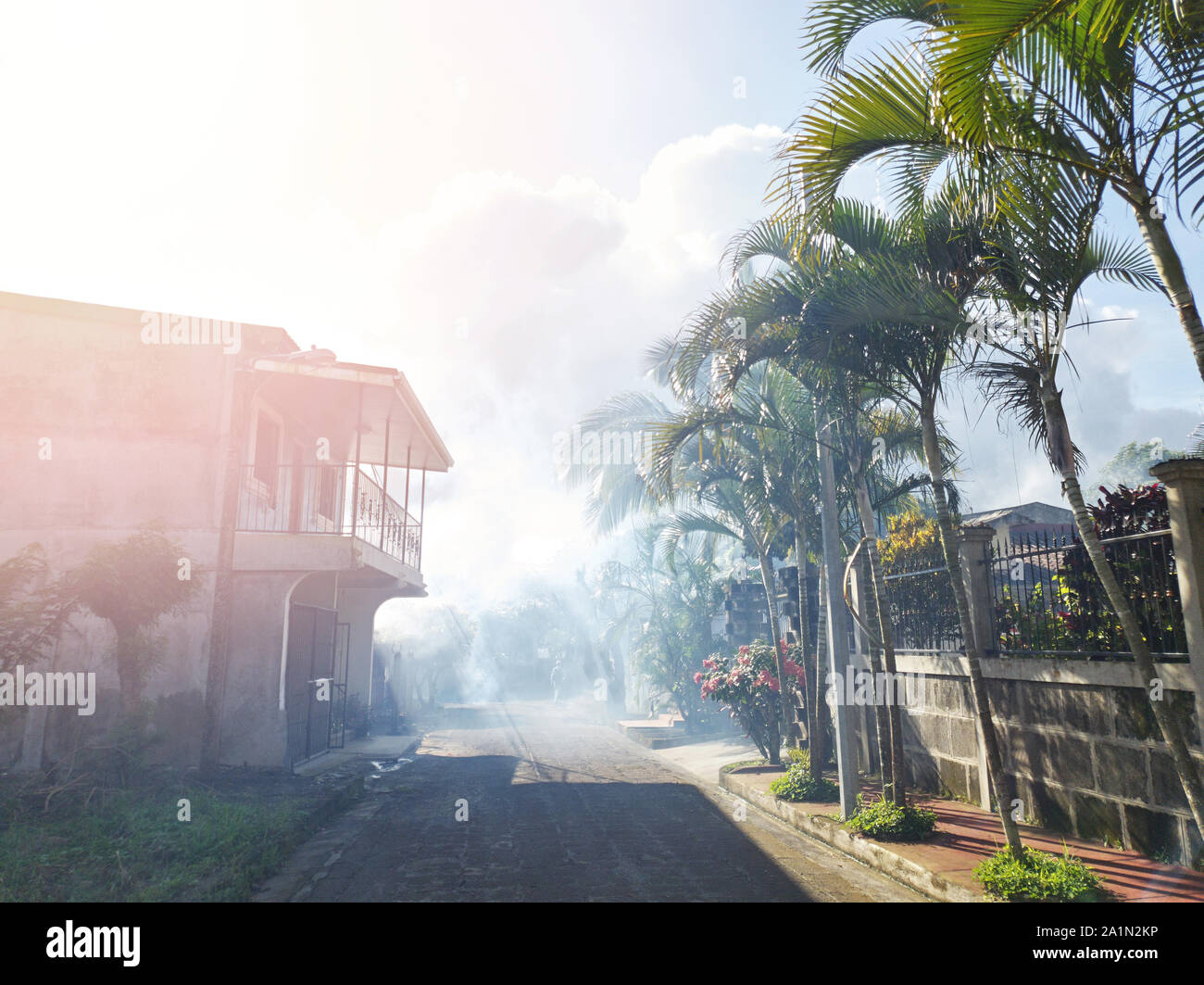 Mosquitoes disinfection on street. Toxic fogging service Stock Photo
