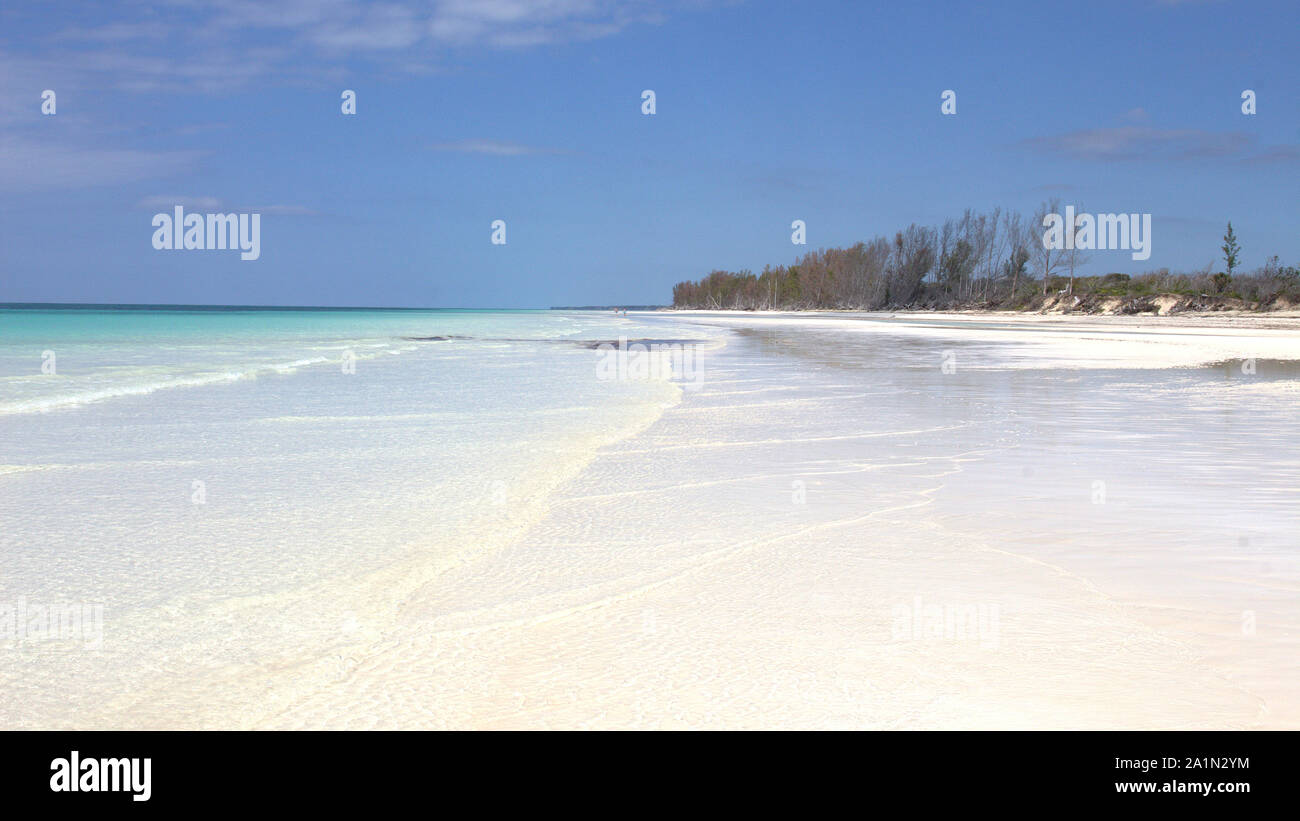 Perfect white beach on Grand Bahama island. A shallow sheet of water in the foreground - great for paddling on a hot day. A tranquil morning in April. Stock Photo