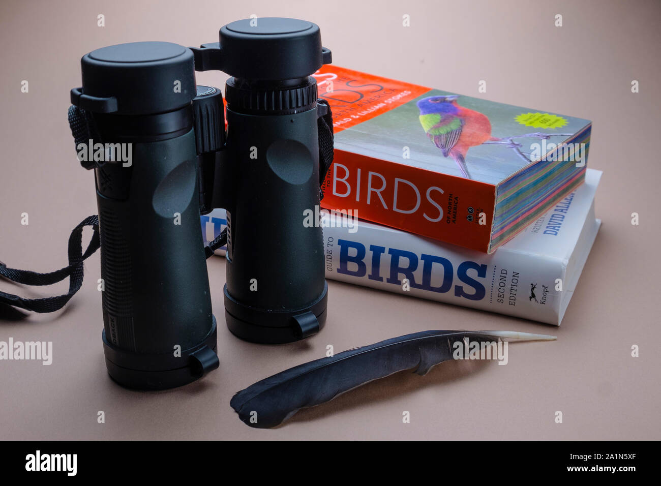 Essential bird birder watching equipment and gear for bird watching. Pair of binoculars and bird species identification field guide books and feather Stock Photo