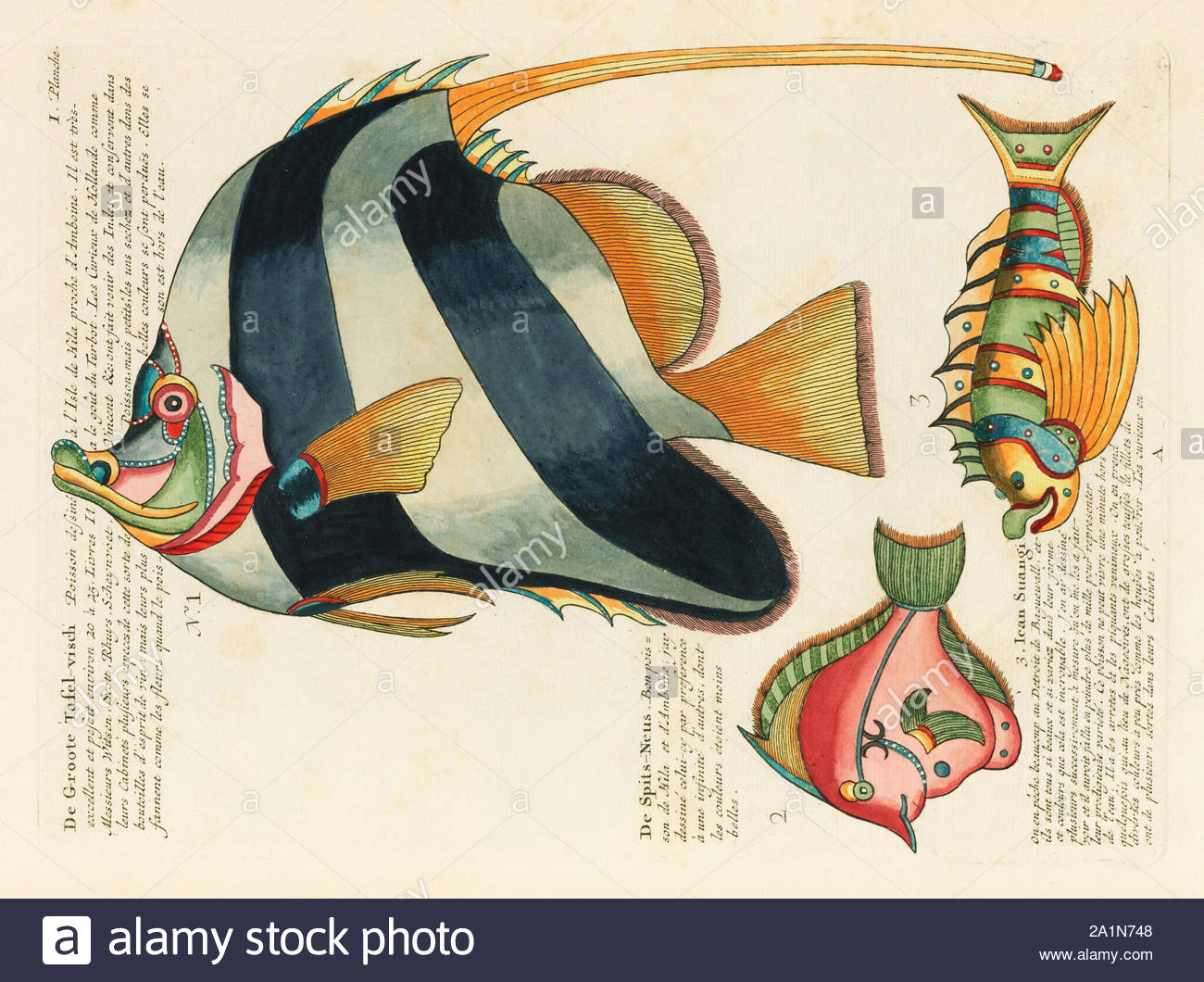 Louis Renard Stock Photos Louis Renard Stock Images Alamy