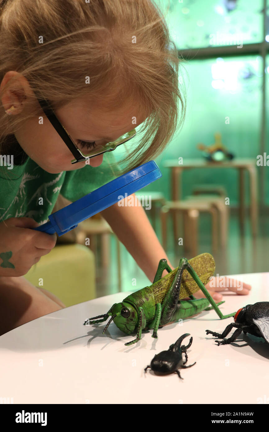 Child studying a toy grasshopper through a magnifying glass Stock Photo