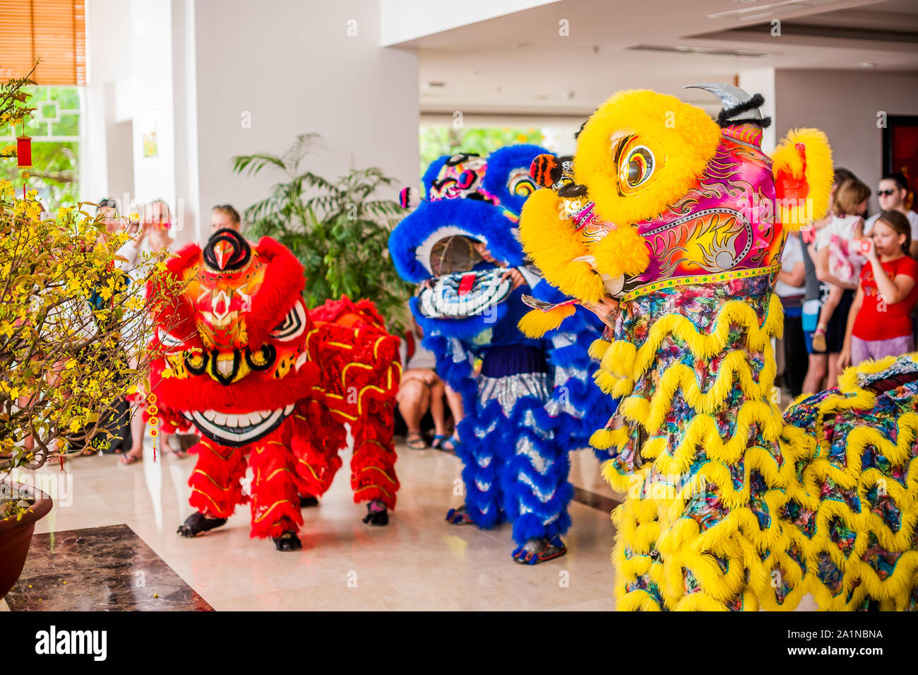 Lunar new year Asian dragon coming vietnamese new year Stock Photo