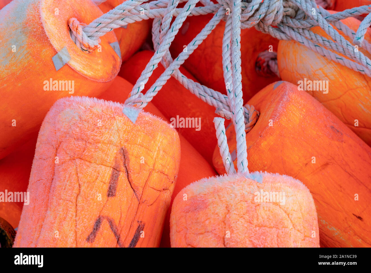 Close up view of fishing floaters. Bright Orange Stock Photo