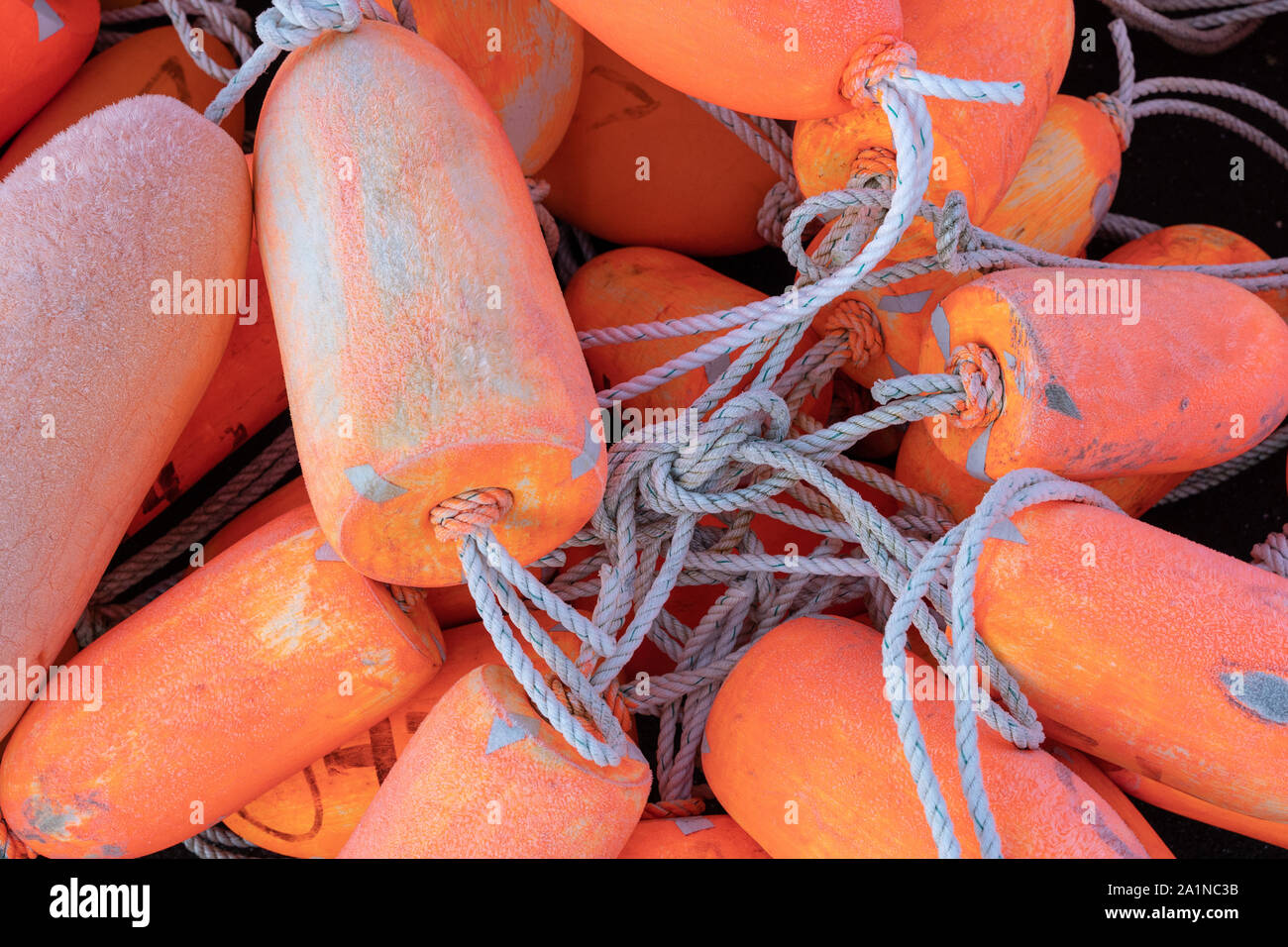 Close up view of fishing floaters. Bright Orange Stock Photo