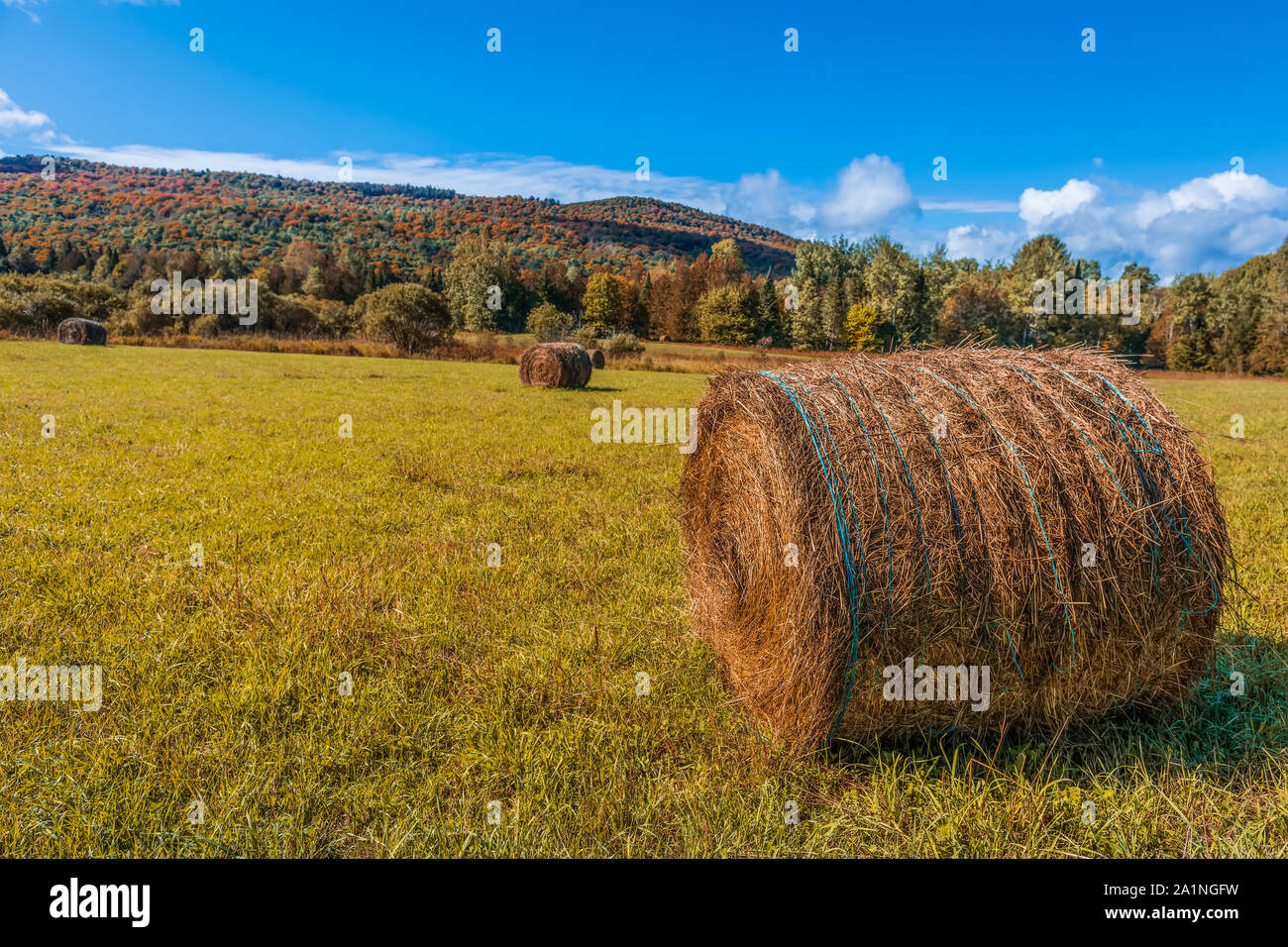 Rolling Hills Autumn Hay Rolls