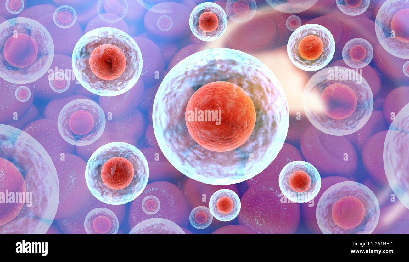 Human cells with science background. 3d render Stock Photo