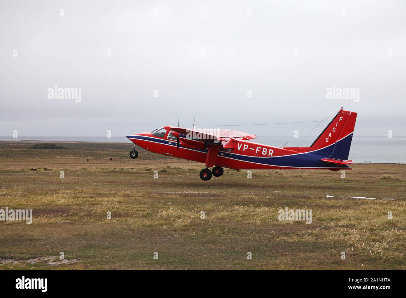 FIGAS plane coming in to land Pebble Island Falkland Islands Stock