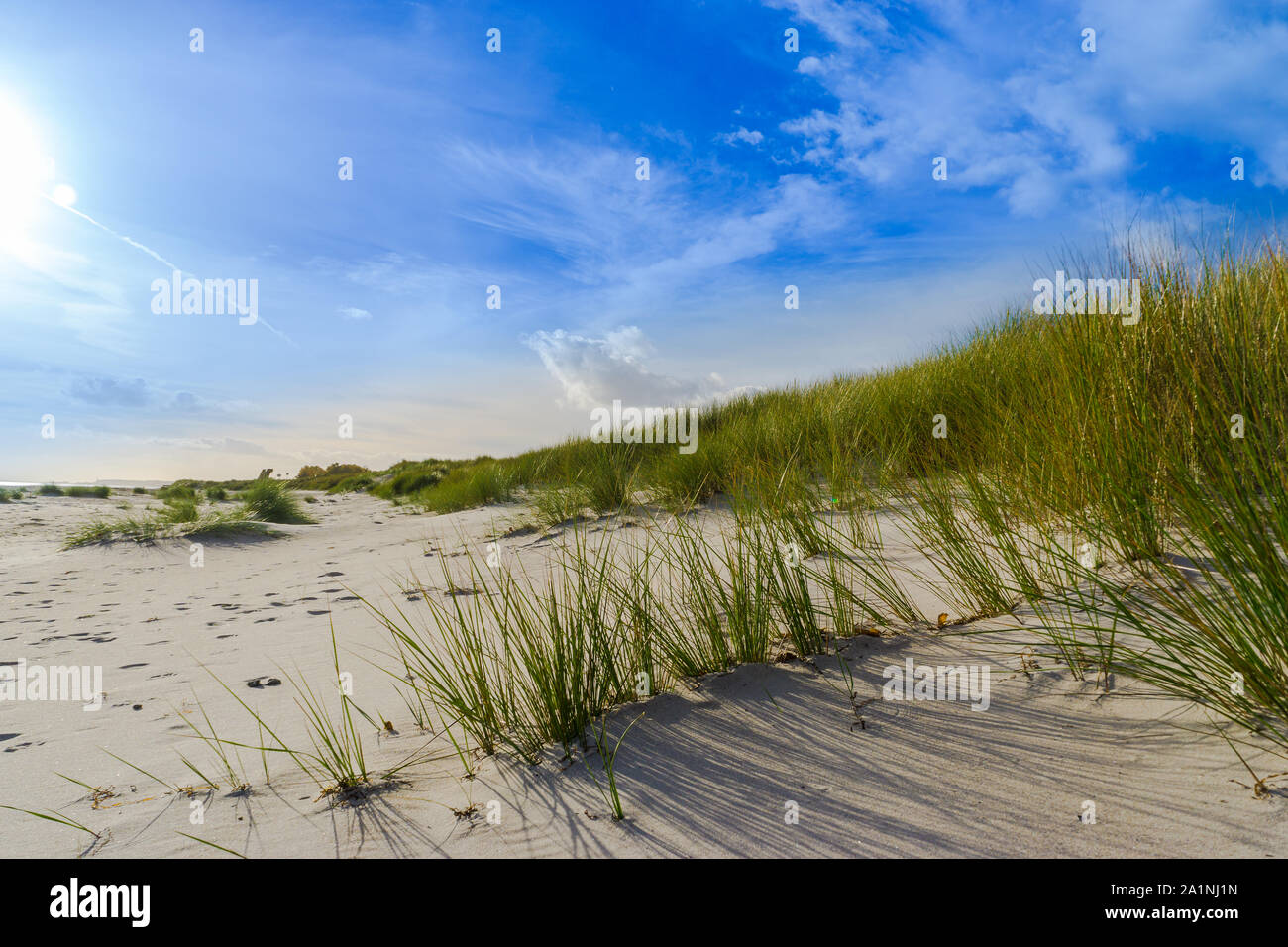Dunes covered with dune grass on the beach Stock Photo