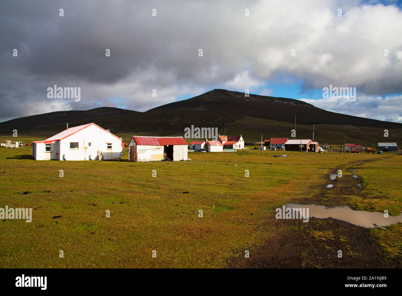 The Settlement Saunders Island Falkland Islands Stock Photo Alamy
