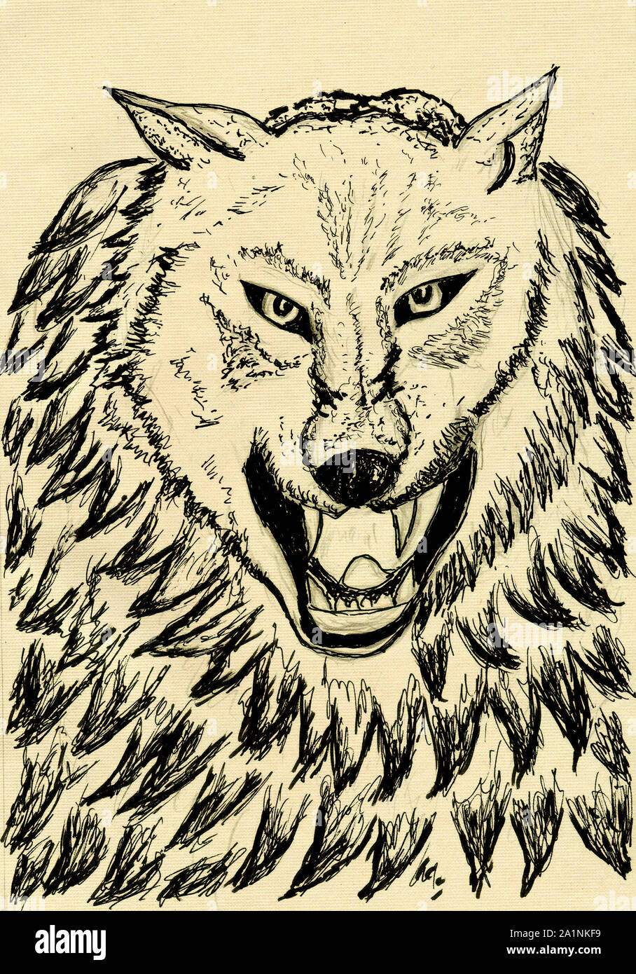 Grunge sketch of an abstract wolf, hand drawn illustration Stock Photo