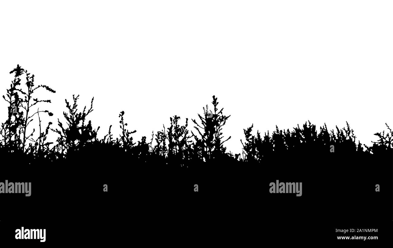 Grass border silhouette isolated on white background vector Stock ...