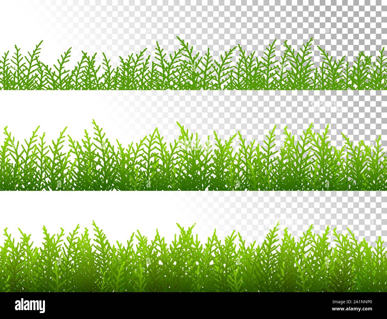 Green grass borders set on transparent background vector Stock Vector ...