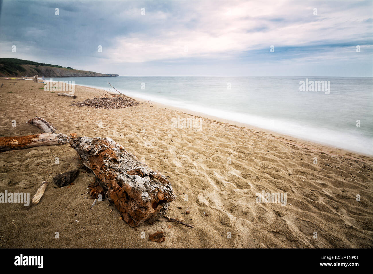Sandy beach with old trunk on the Black Sea in Sinemorets, Bulgaria Stock Photo