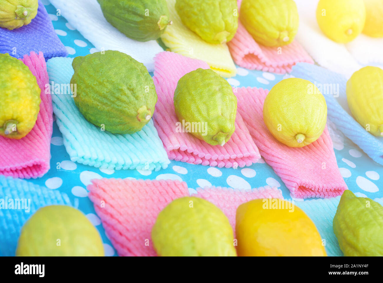 Jewish festival of Sukkot. Traditional market before the holiday of Sukkot.Etrog yellow citron Traditional symbol-One of The four species. Stock Photo