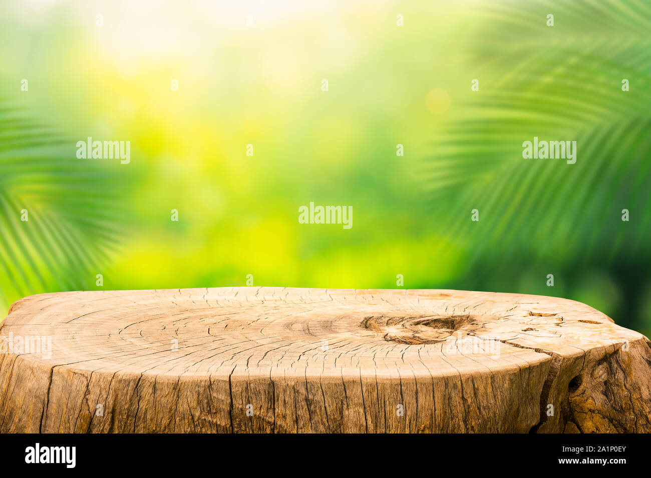 Beautiful texture of old tree stump table top on blur green garden background.For create product display or design key visual layout. Stock Photo