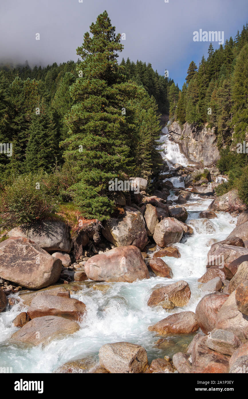 Rainbach torrent. Waterfall. Krimmler Achen valley. Hohe Tauern National Park. Austrian Alps. Stock Photo