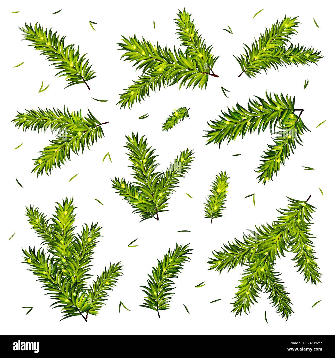 Christmas tree branches set isolated on white background. Vector