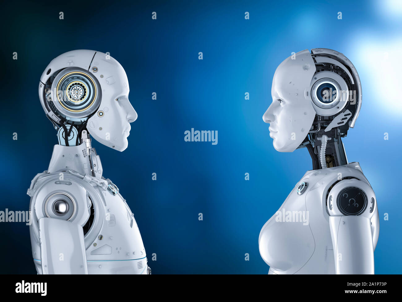 Голос робота мужской. Роботы мужчина и женщина разъемы.