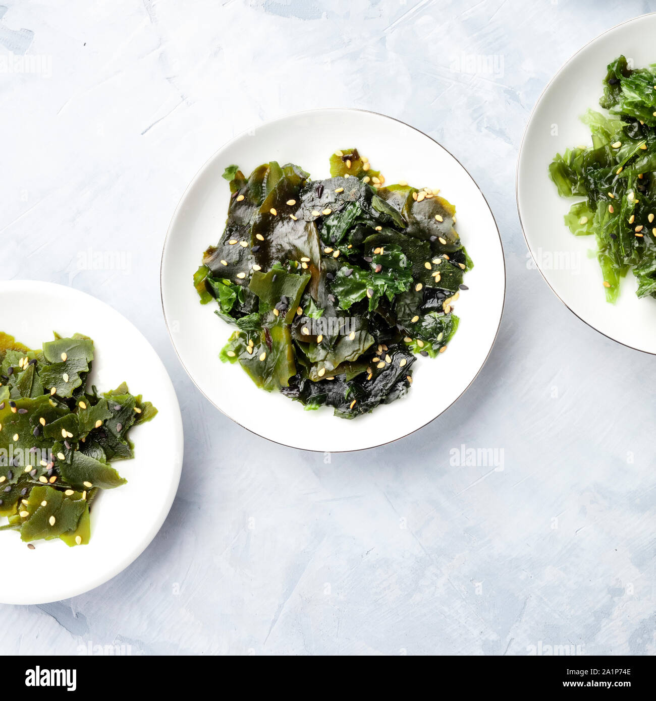 Sea lettuce algae, overhead square shot with a place for text Stock Photo