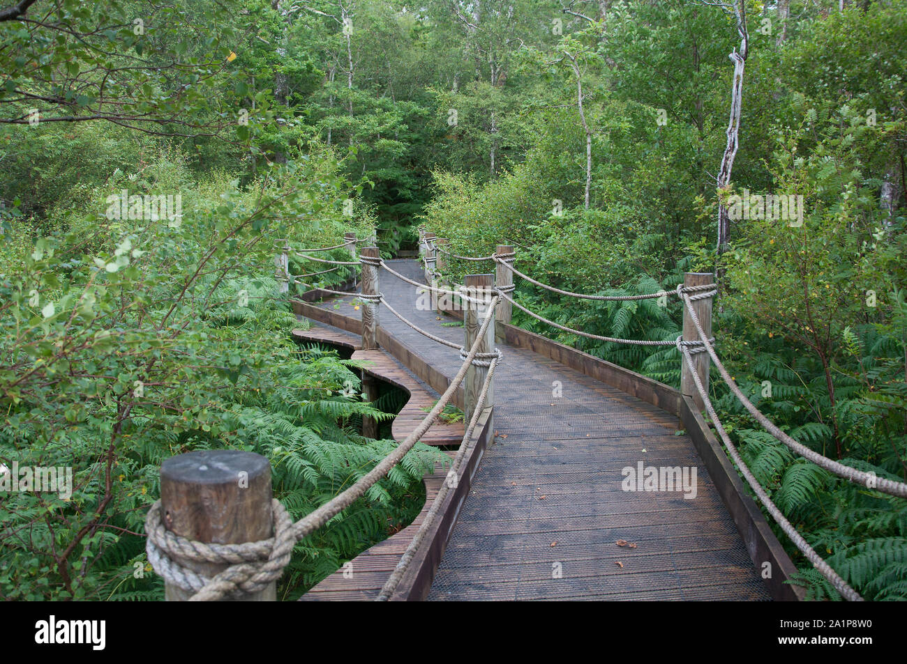 Forestry Commission Wildlife Hide, Loch Sunart, Strontian, Ardnamurchan