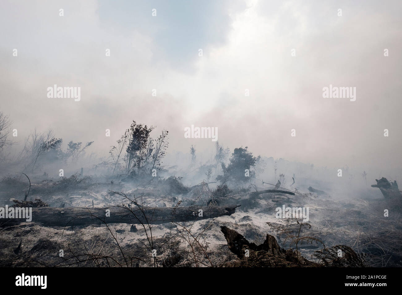 Palangkaraya, Indonesia. 28th Sep, 2019. Smoke of a forest fire is seen at Sebangau National Park in Palangkaraya, Central Kalimantan, Indonesia, Sept. 28, 2019. Credit: Deny Krisbiantoro/Xinhua/Alamy Live News Stock Photo