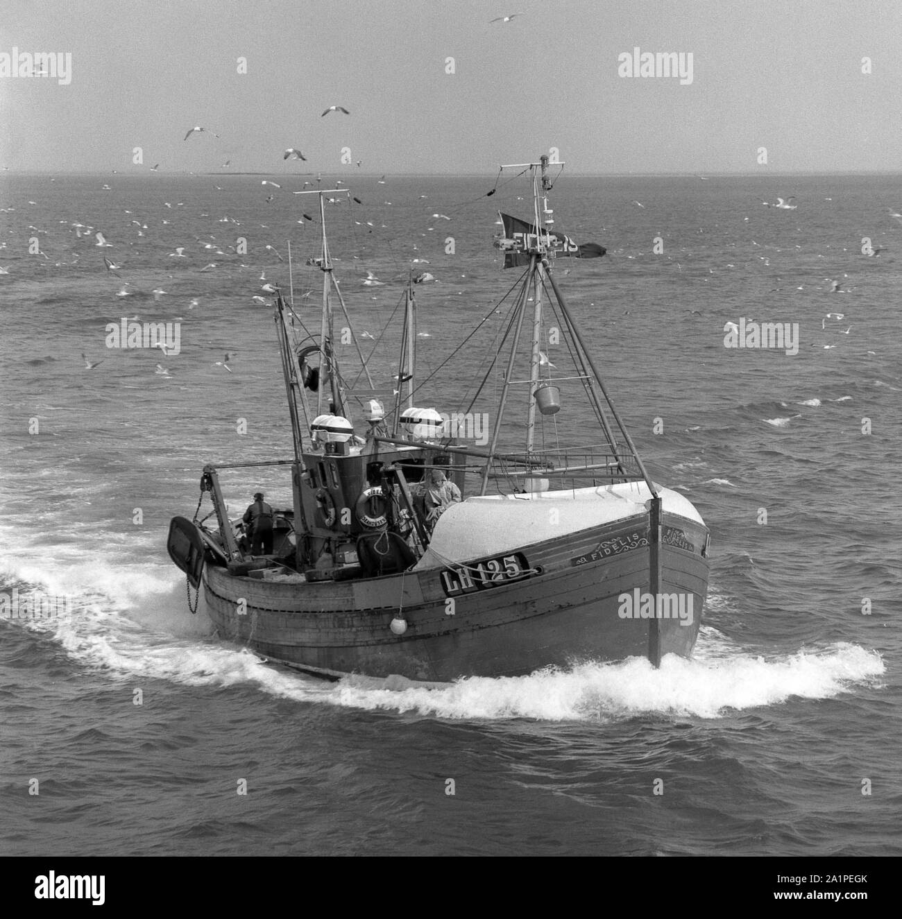 Fidelis, LH 125; arriving at Seahouses, Northumberland, c. 1975 Stock Photo