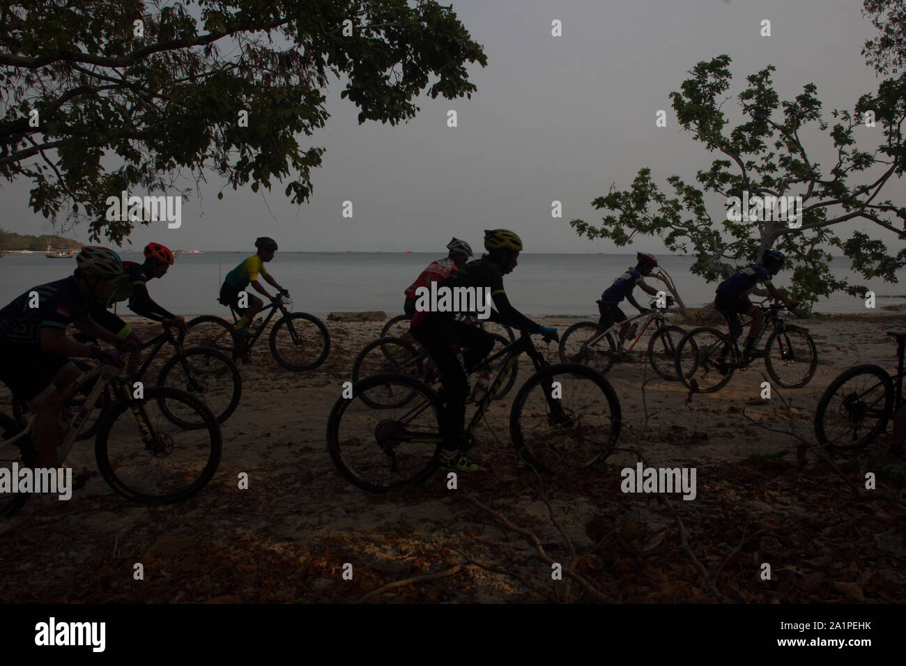 2019 cross country mountain bikes