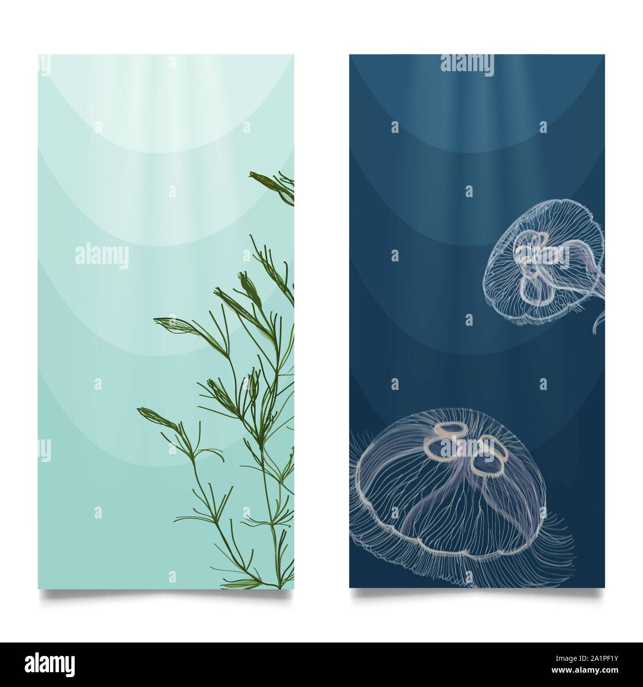 Underwater/undersea diving banner or poster set. Hand drawn vector Stock Vector