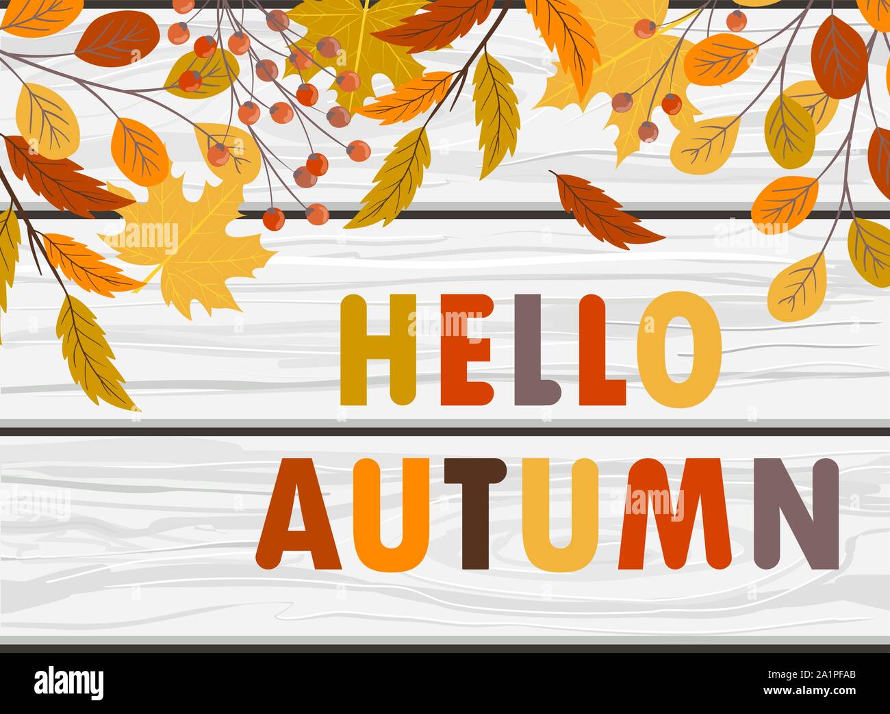 Hello autumn vector banner with hand drawn leaves and lettering on ...
