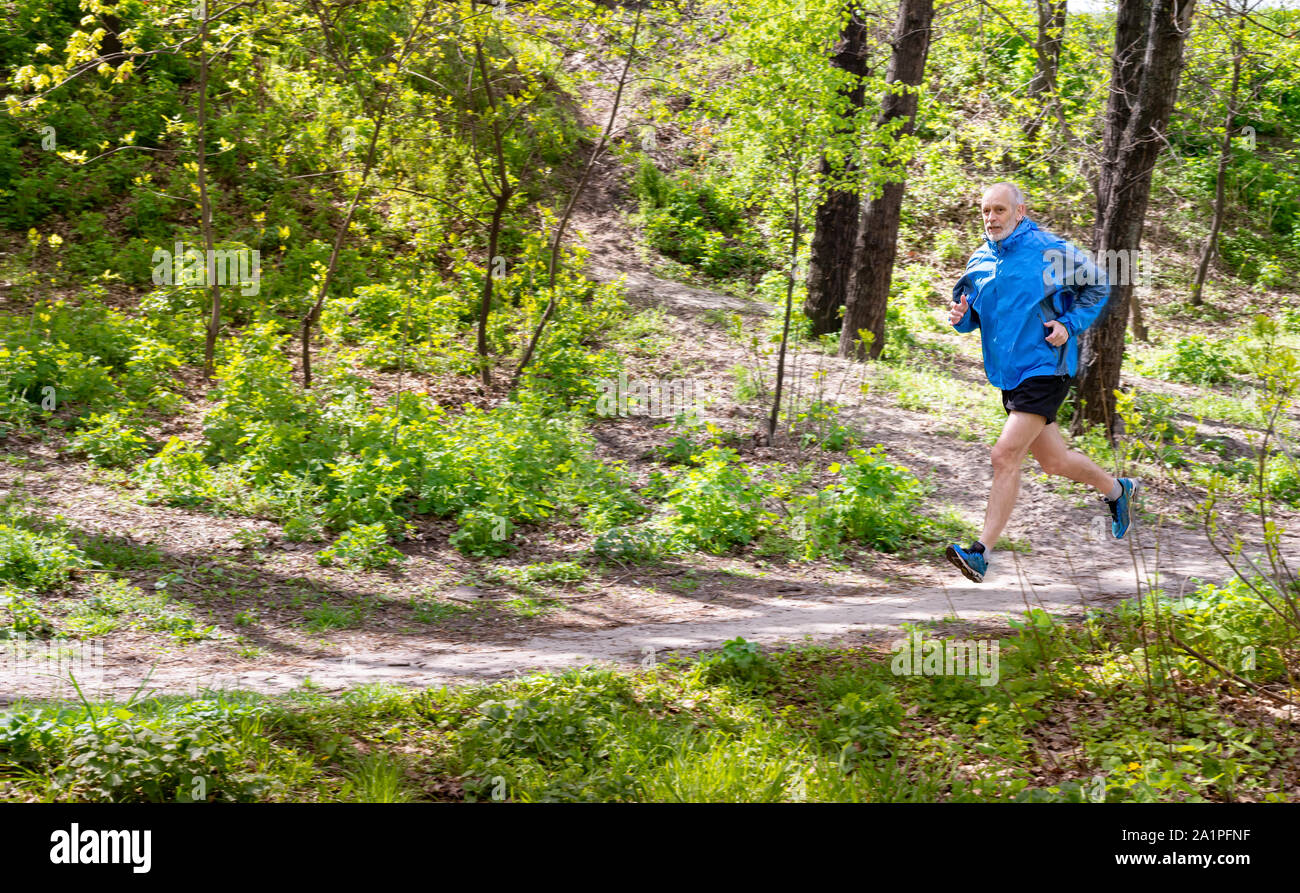 A senior man dressed in black and blue is running in the forest, during a nice autumn day. Motion blur effect due to the speed. The background is blur Stock Photo